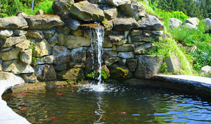 What is the best product for cleaning green pond water?
