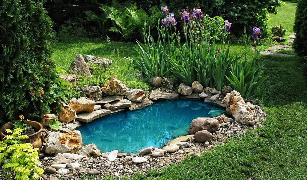 Why is it worth using organic pond treatment?